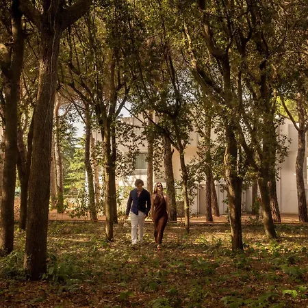 Sierra Silvana Selva Di Fasano